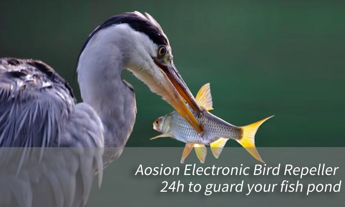 Aosion electronic bird repeller blog banner